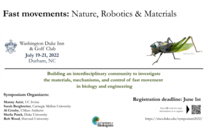Fast Movements, Impacts and Deformations: Nature, Robotics and Materials